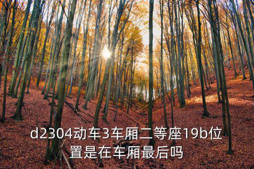 d2304，d2304動(dòng)車3車廂二等座19b位置是在車廂最后嗎