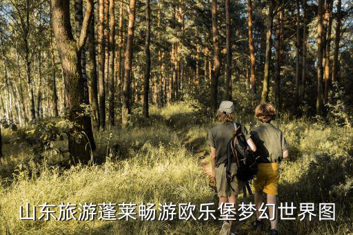 蓬萊歐樂堡夢幻世界，蓬萊一日游必去景點