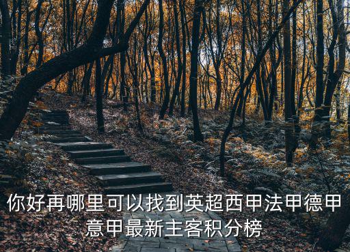 你好再哪里可以找到英超西甲法甲德甲意甲最新主客積分榜