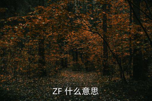 ZF 什么意思