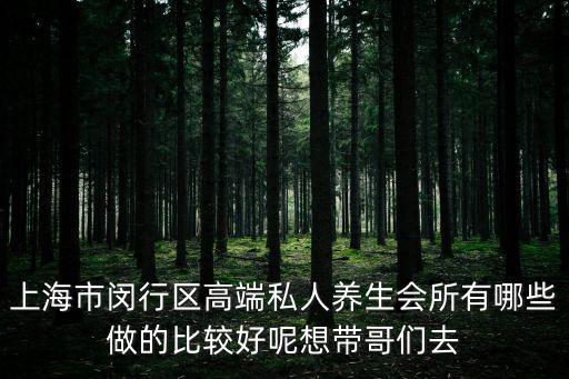 上海市閔行區高端私人養生會所有哪些做的比較好呢想帶哥們去