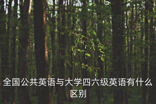 全國公共英語與大學四六級英語有什么區別