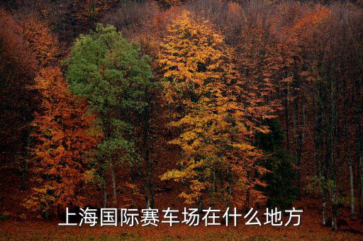 上海國際賽車場在什么地方
