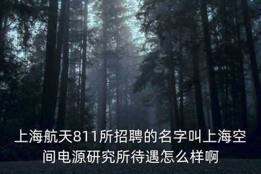 上海航天811所招聘的名字叫上海空間電源研究所待遇怎么樣啊