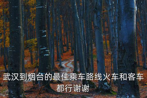 武漢到煙臺的最佳乘車路線火車和客車都行謝謝
