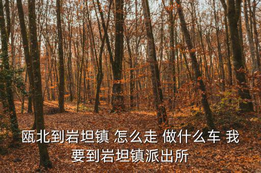 甌北到巖坦鎮(zhèn) 怎么走 做什么車 我要到巖坦鎮(zhèn)派出所