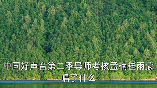 中國好聲音第二季導(dǎo)師考核孟楠桂雨蒙唱了什么