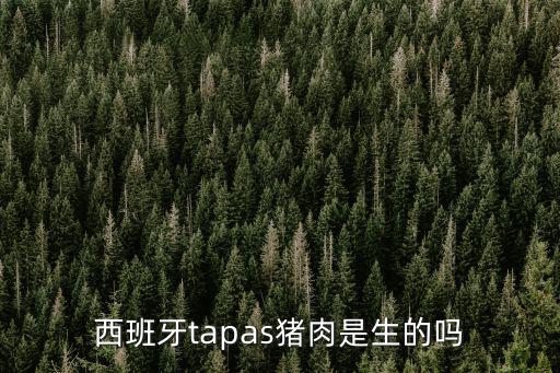 tapas，西班牙tapas 做法