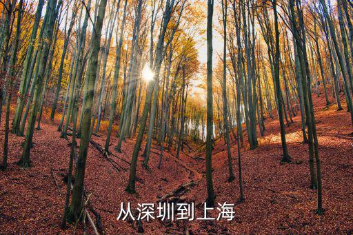 從深圳到上海