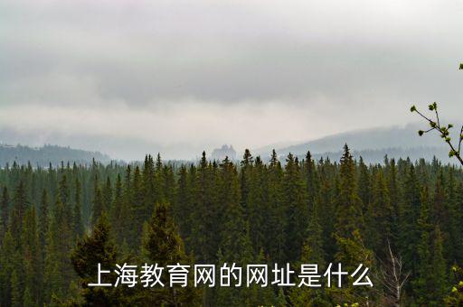 上海教育網的網址是什么