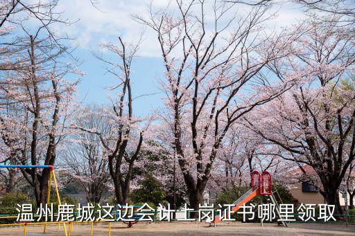 溫州鹿城這邊會計上崗證書哪里領取