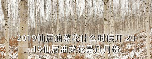 仙居油菜花，仙居看油菜花哪里好