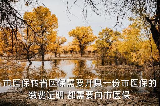 市醫保轉省醫保需要開具一份市醫保的繳費證明 都需要向市醫保