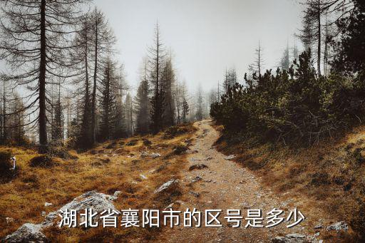 湖北省襄陽市的區號是多少