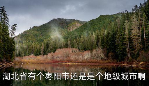 棗陽市屬于哪個市，湖北棗陽市屬于哪個地區