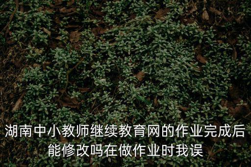 湖南中小教師繼續教育網的作業完成后能修改嗎在做作業時我誤