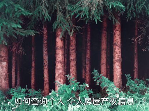 如何查詢個人 個人房屋產權信息