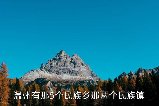 溫州有那5個民族鄉那兩個民族鎮