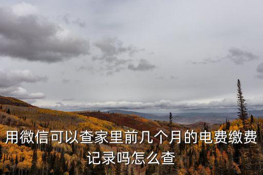 用微信可以查家里前幾個(gè)月的電費(fèi)繳費(fèi)記錄嗎怎么查