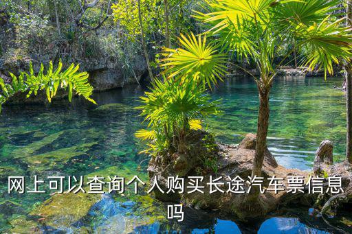 網上可以查詢個人購買長途汽車票信息嗎