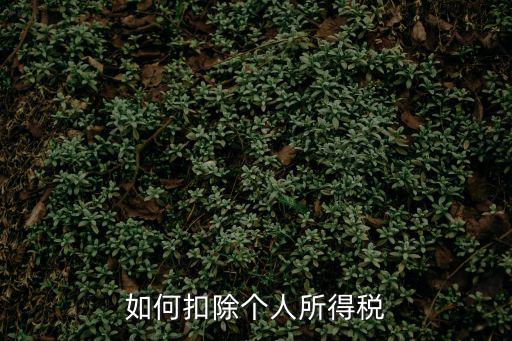 如何扣除個人所得稅