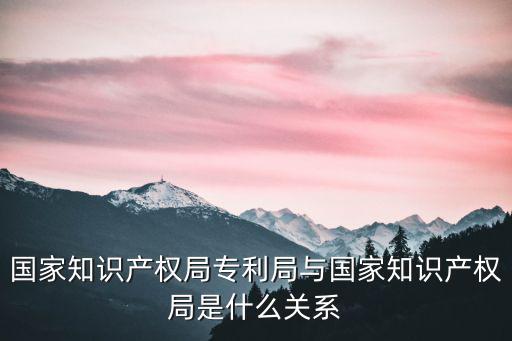 國家知識產權局專利局與國家知識產權局是什么關系