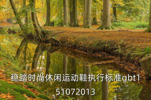 穩踏時尚休閑運動鞋執行標準gbt151072013