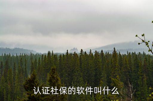認證社保的軟件叫什么