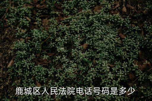 鹿城區(qū)人民法院，溫州市鹿城區(qū)人民法院院長是誰
