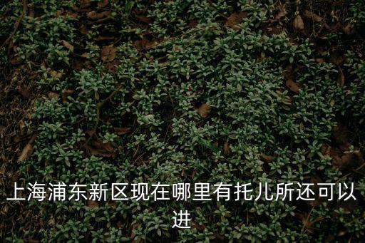 上海托兒所，上海浦東新區現在哪里有托兒所還可以進