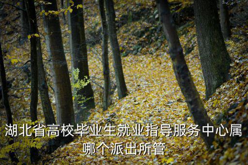 湖北省高校畢業(yè)生就業(yè)指導(dǎo)服務(wù)中心屬哪個派出所管