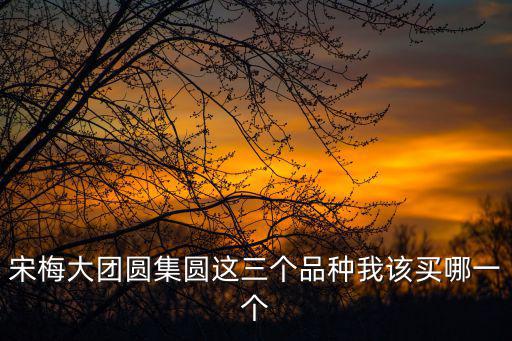 宋梅大團圓集圓這三個品種我該買哪一個
