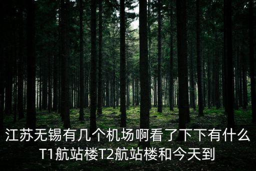 江蘇無錫有幾個機場啊看了下下有什么T1航站樓T2航站樓和今天到