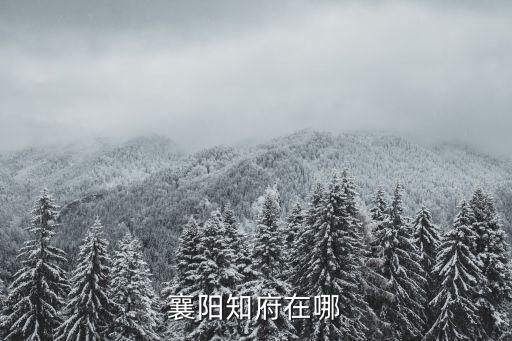襄陽知府在哪