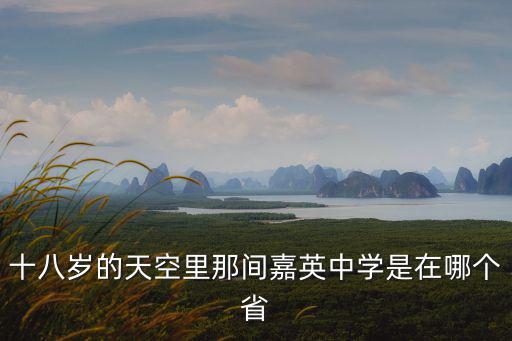 嘉定一中，上海嘉定有幾所中學和高中