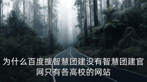 為什么百度搜智慧團建沒有智慧團建官網只有各高校的網站