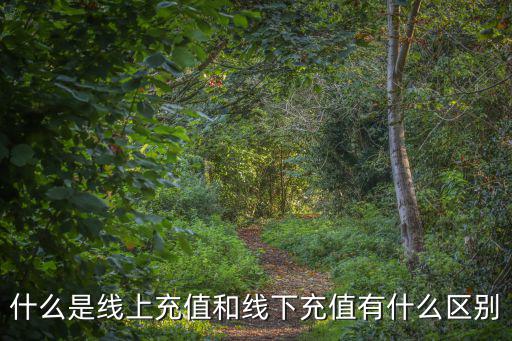 什么是線上充值和線下充值有什么區別