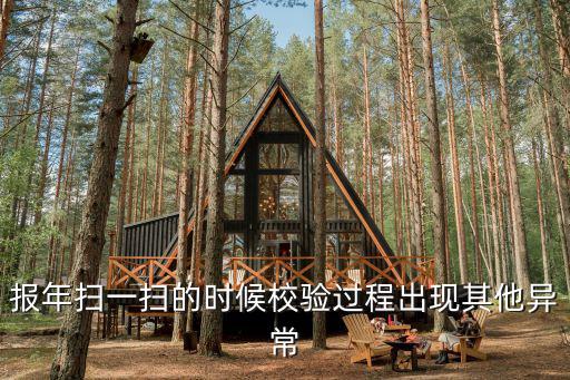 報年，什么是年報呢