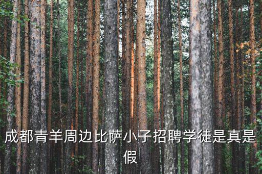 成都青羊周邊比薩小子招聘學徒是真是假