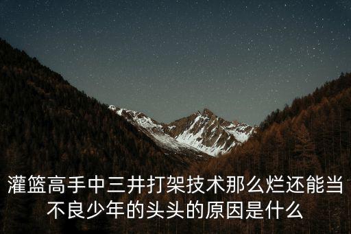 灌籃高手中三井打架技術那么爛還能當不良少年的頭頭的原因是什么