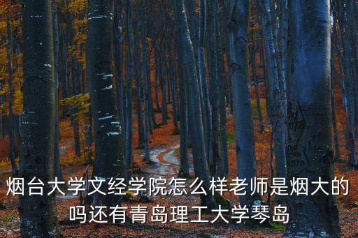 煙臺大學文經學院怎么樣老師是煙大的嗎還有青島理工大學琴島
