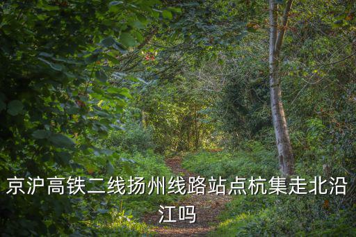 京滬高鐵二線揚(yáng)州線路站點(diǎn)杭集走北沿江嗎