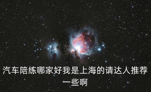 汽車陪練哪家好我是上海的請達人推薦一些啊