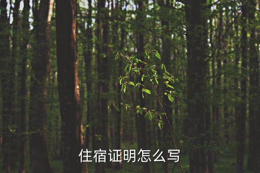 住宿證明怎么寫