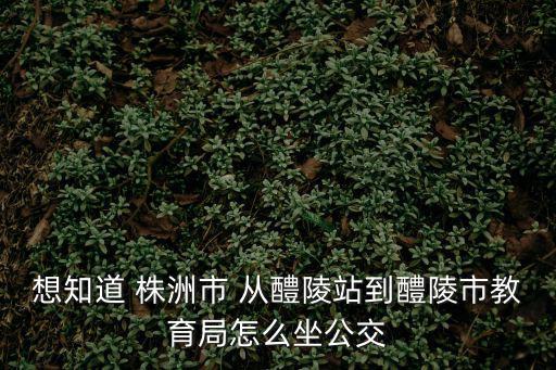 想知道 株洲市 從醴陵站到醴陵市教育局怎么坐公交