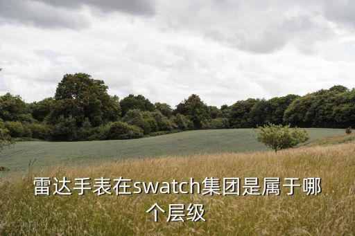 雷達手表在swatch集團是屬于哪個層級