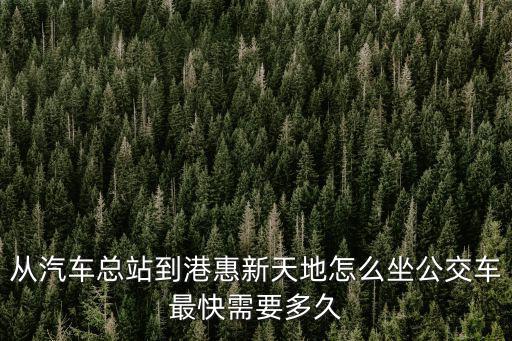 從汽車總站到港惠新天地怎么坐公交車最快需要多久