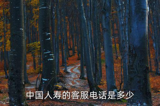 中國人壽的客服電話是多少