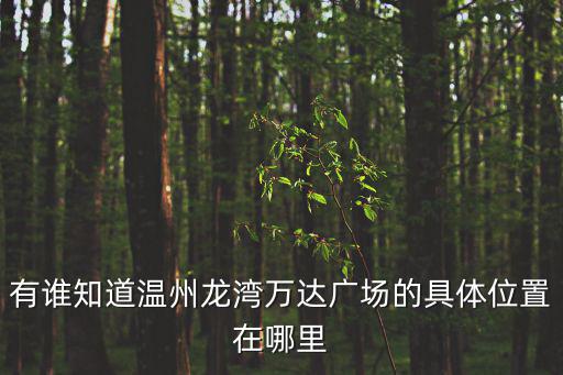 有誰知道溫州龍灣萬達廣場的具體位置在哪里