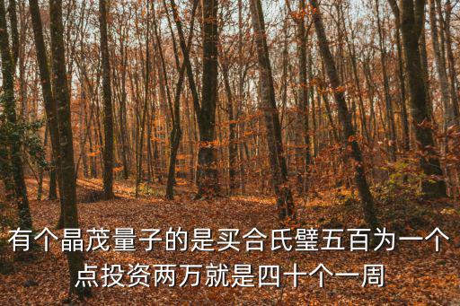 有個(gè)晶茂量子的是買合氏璧五百為一個(gè)點(diǎn)投資兩萬就是四十個(gè)一周